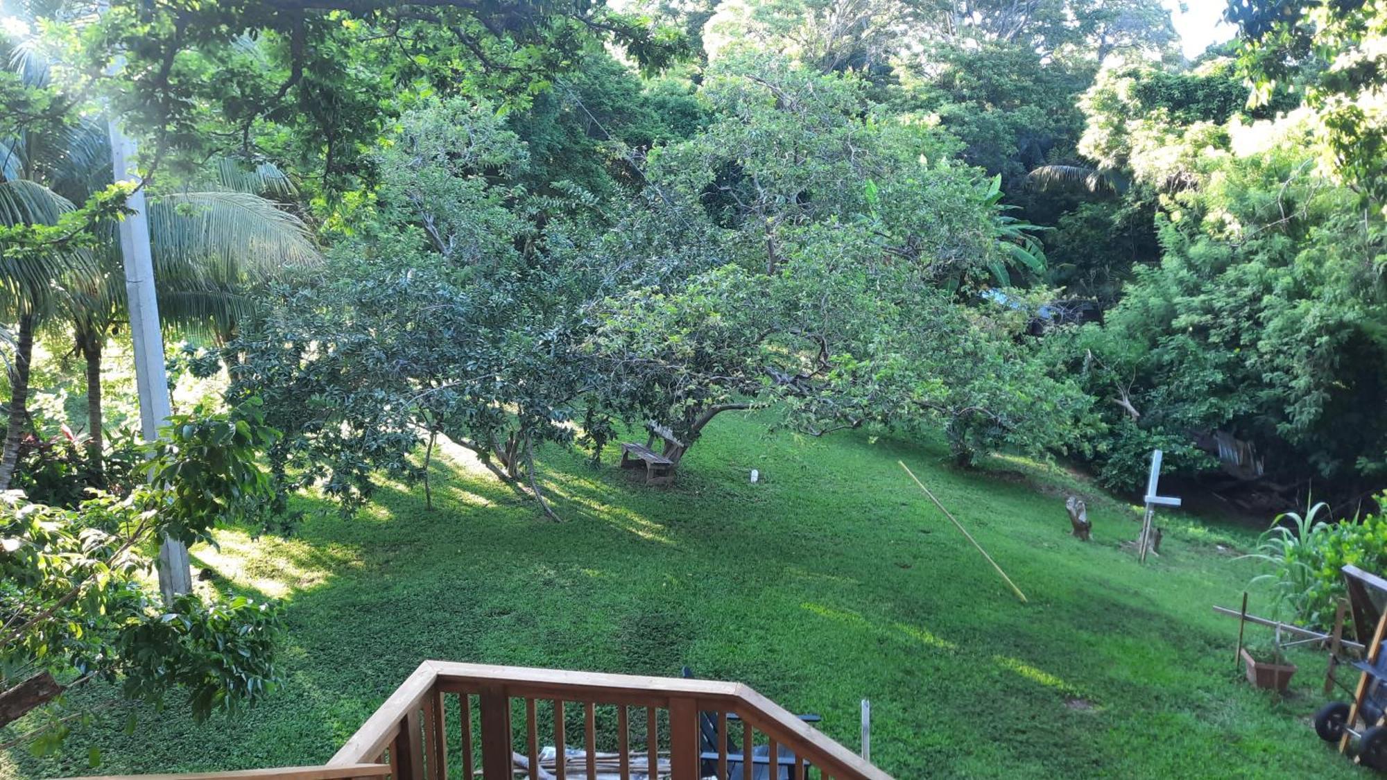 סנדי ביי Guava Grove Resort & Villas מראה חיצוני תמונה